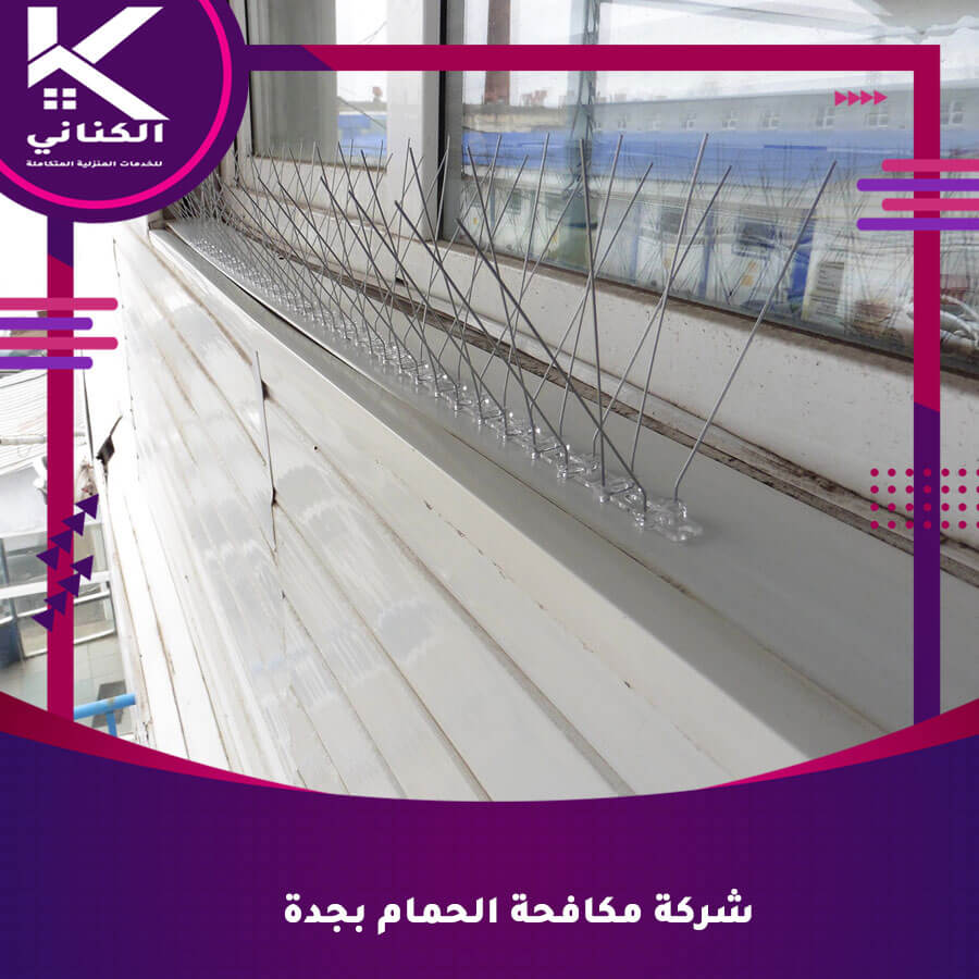 شركة مكافحة الحمام بجدة