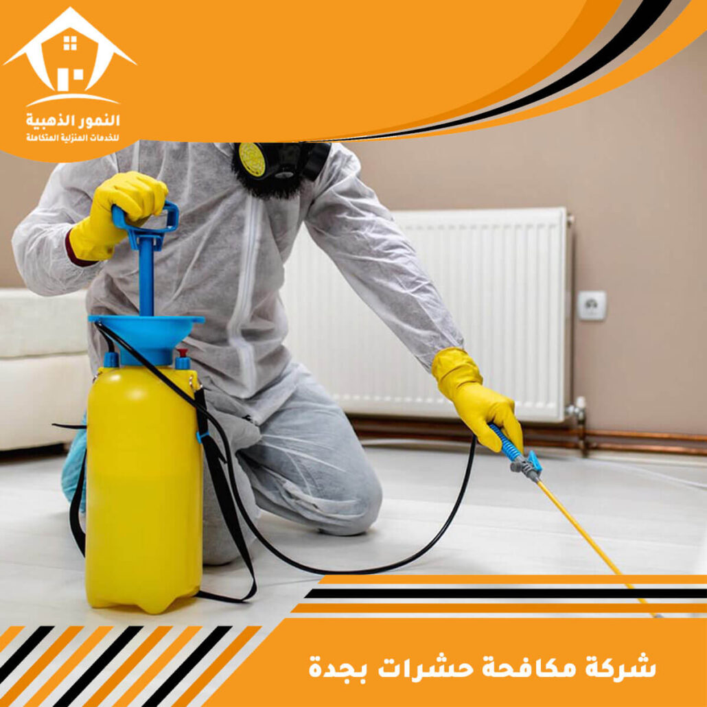 شركة مكافحة حشرات بجدة