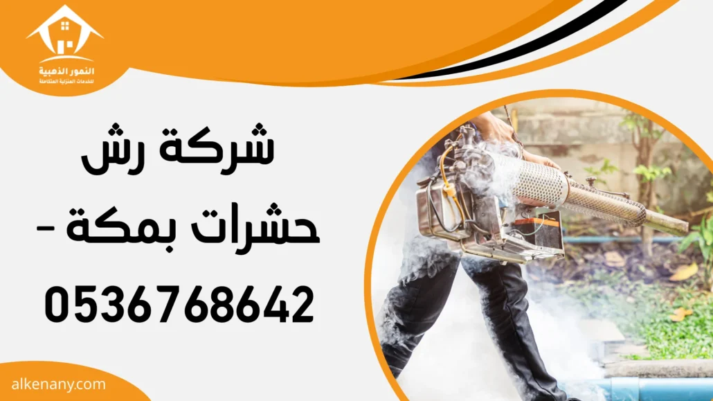 شركة رش حشرات بمكة
