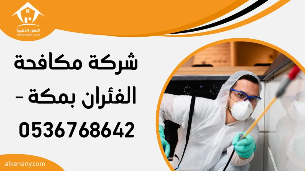 شركة مكافحة الفئران بمكة