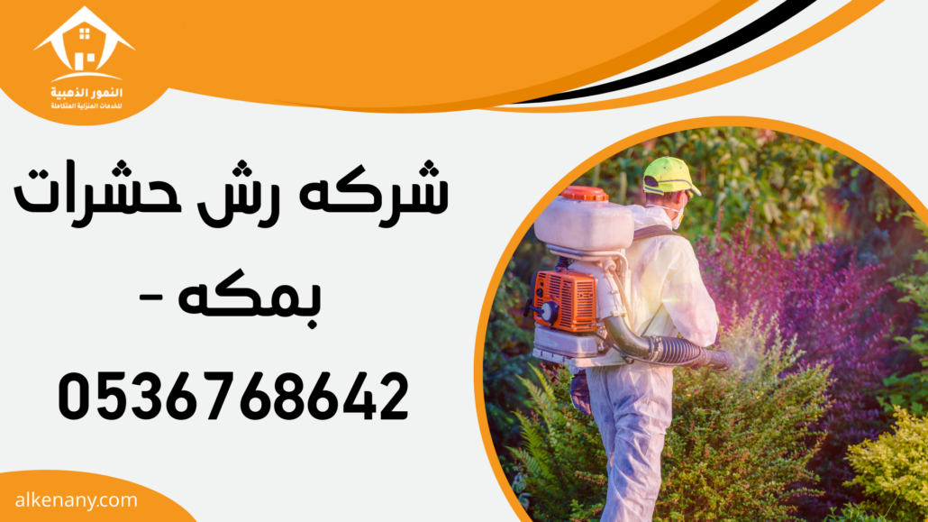 شركه رش حشرات بمكه