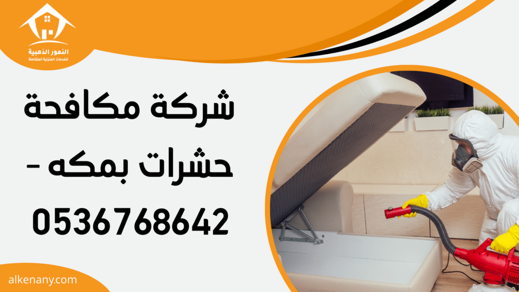 شركة مكافحة حشرات بمكه
