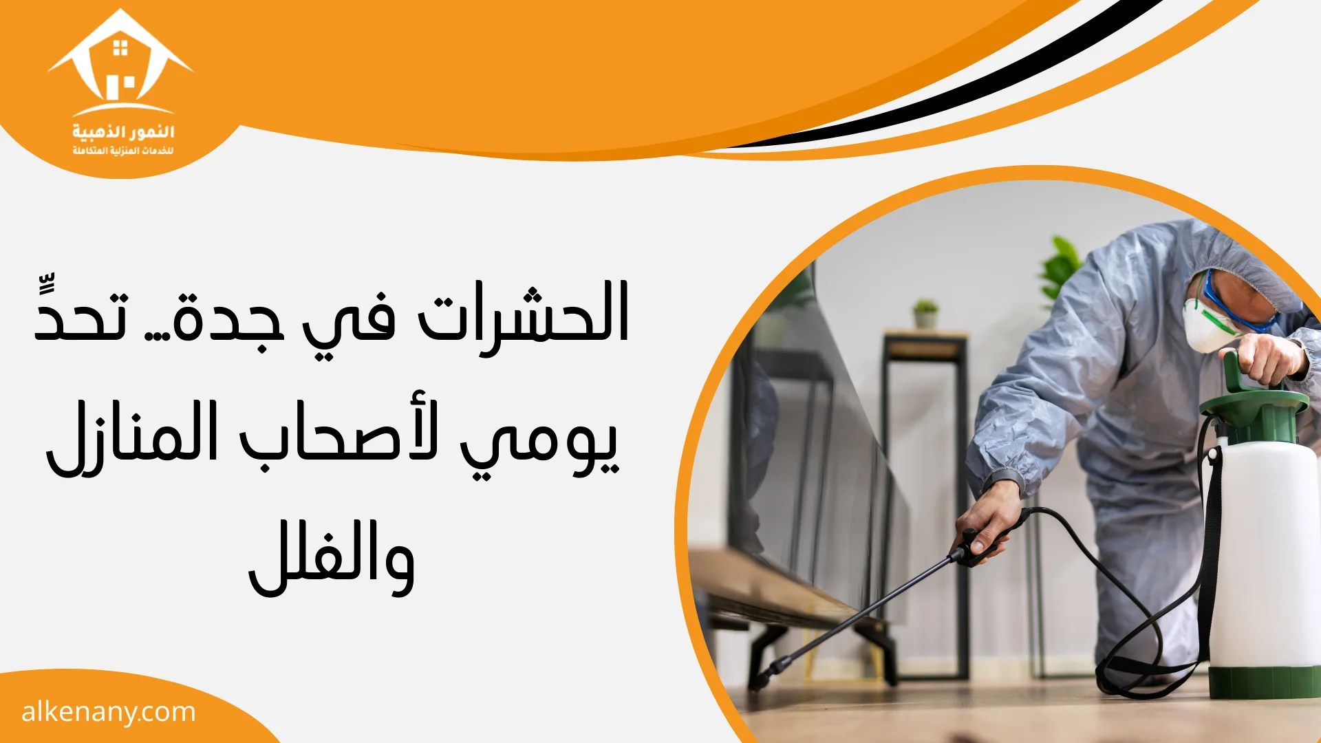 مكافحة حشرات بجدة