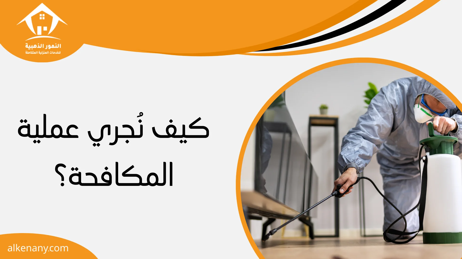 مكافحة حشرات بجدة