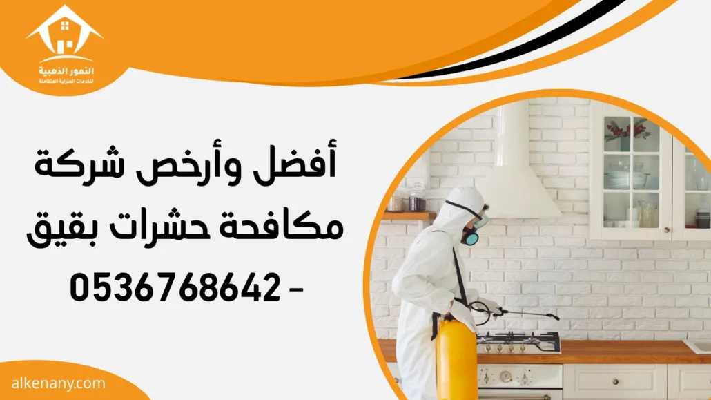 شركة مكافحة حشرات بقيق