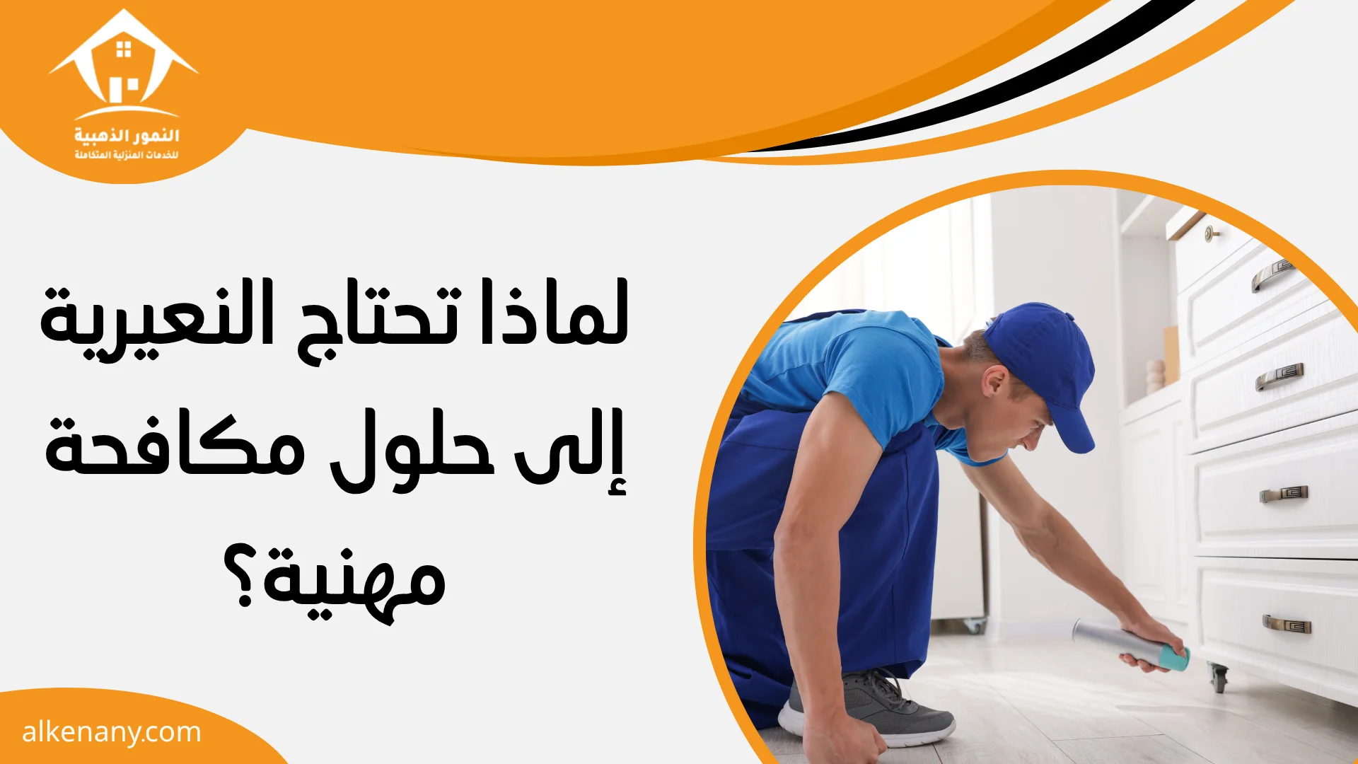 شركة مكافحة حشرات النعيرية