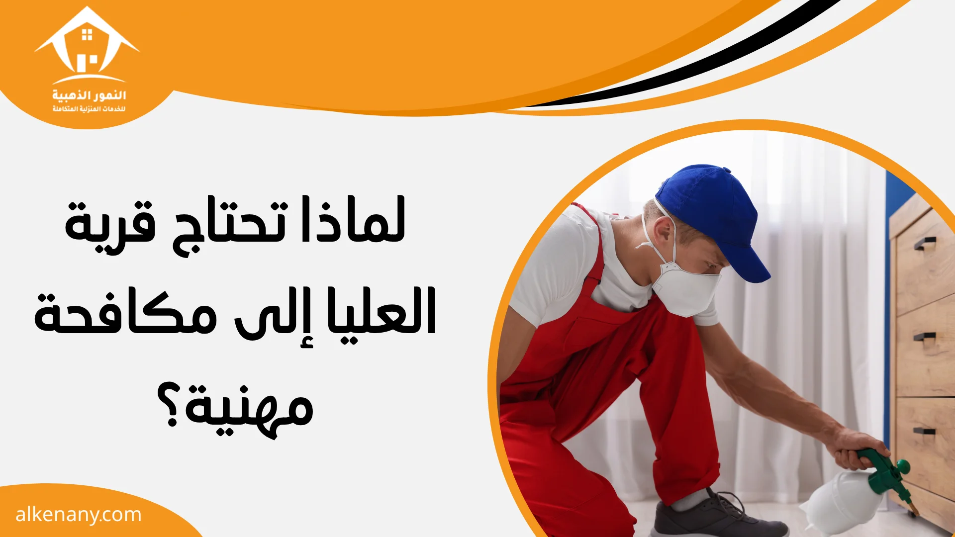 شركة مكافحة حشرات قرية العليا