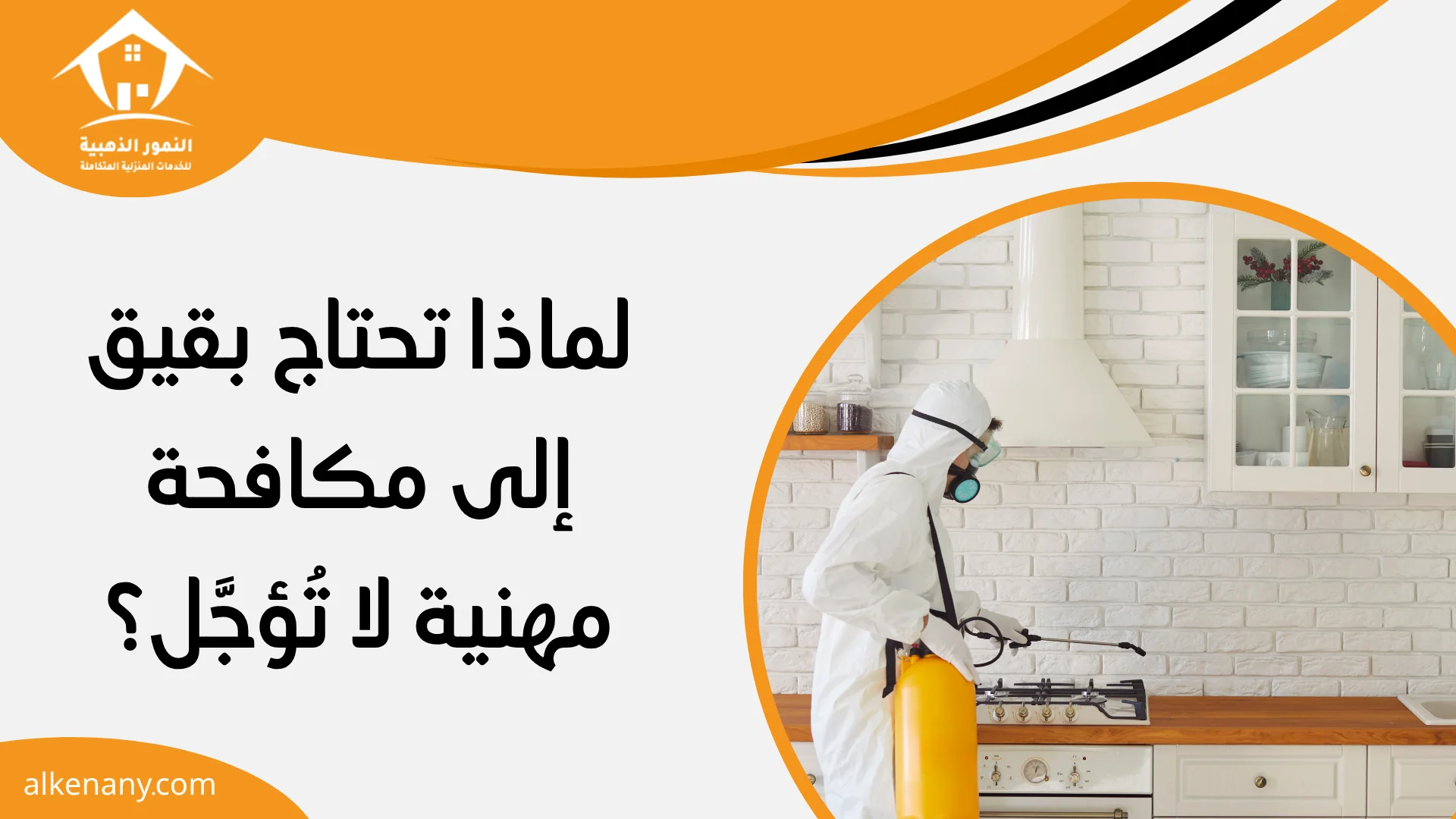 شركة مكافحة حشرات بقيق
