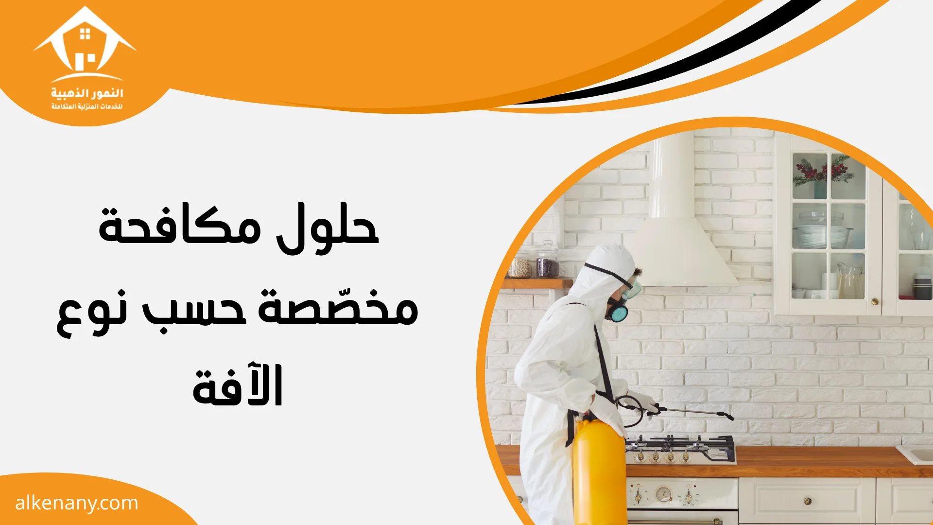 شركة مكافحة حشرات بقيق